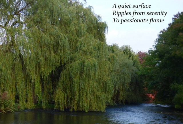 a-quiet-surface-ripples-from-serenity-to-passionate-flame