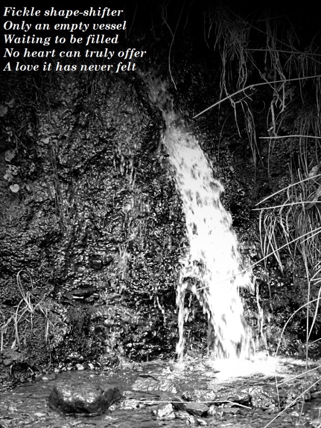 Fickle shape-shifter Only an empty vessel Waiting to be filled No heart can truly offer A love it has never felt