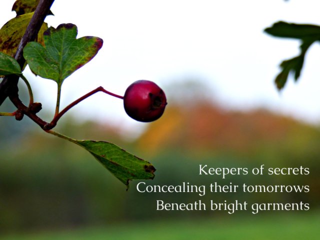 keepers-of-secrets-concealing-their-tomorrows-beneath-bright-garments
