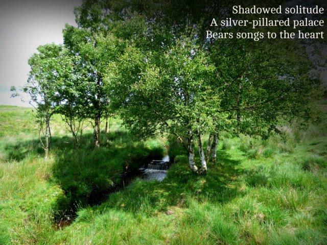 shadowed-solitude-a-silver-pillared-palace-bears-songs-to-the-heart