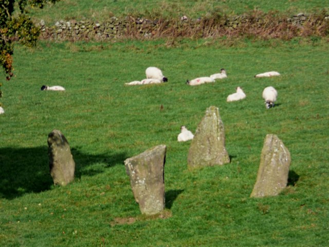 sheep-hordrons-nine-stones-robin-hoods-100