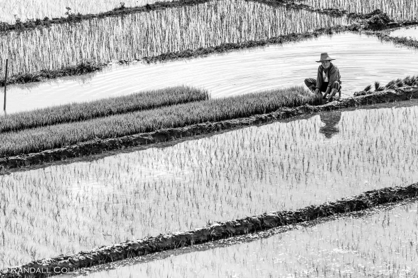 the-thin-gauze-of-doubt-1