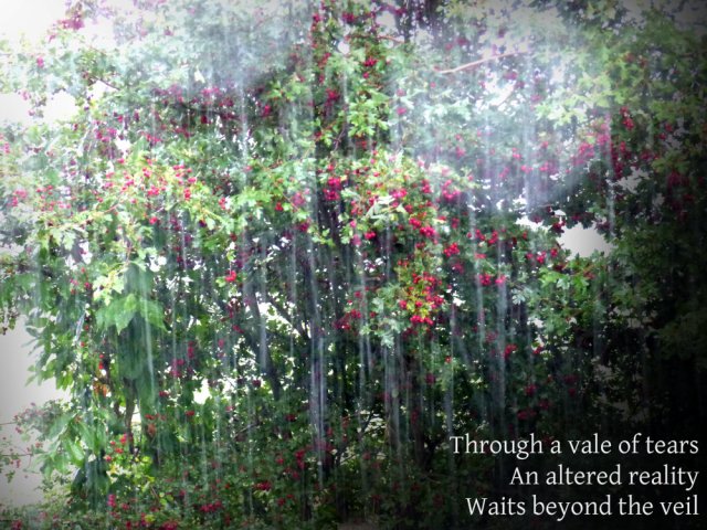 through-a-vale-of-tears-an-altered-reality-waits-beyond-the-veil
