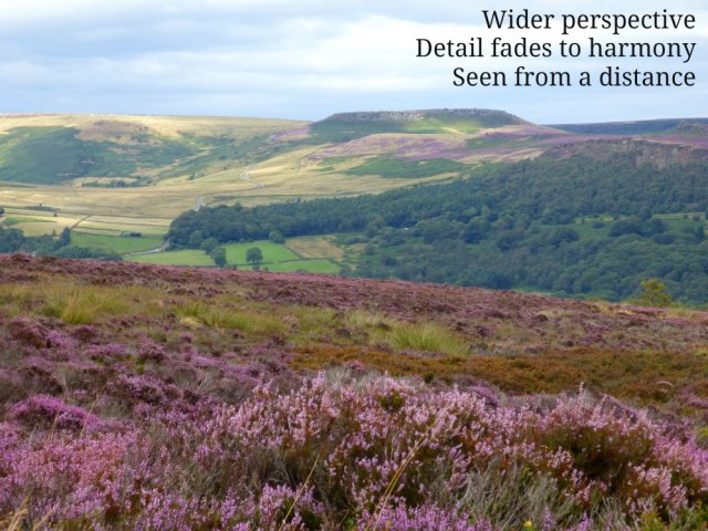 wider-perspective-detail-fades-to-harmony-seen-from-a-distance