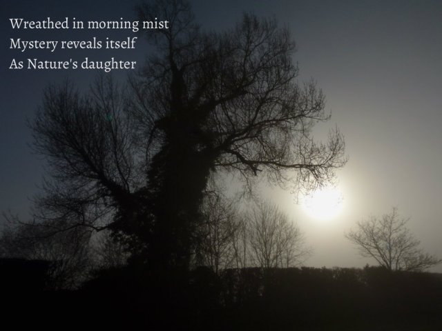 wreathed-in-morning-mist-mystery-reveals-itself-as-natures-daughter