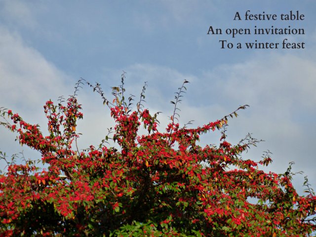 a-festive-table-an-open-invitation-to-a-winter-feast