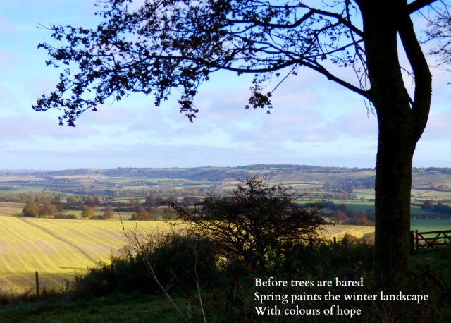 before-trees-are-bared-spring-paints-the-winter-landscape-with-colours-of-hope