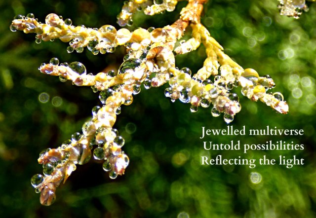 jewelled-multiverse-untold-possibilities-reflecting-the-light