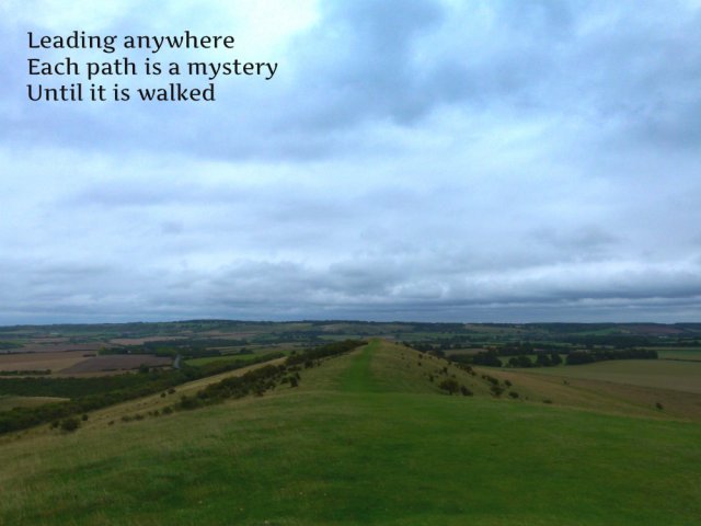 leading-anywhere-each-path-is-a-mystery-until-it-is-walked