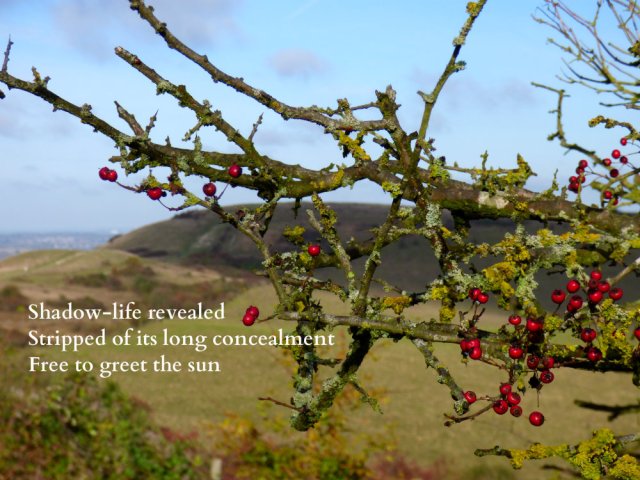 shadow-life-revealed-stripped-of-its-long-concealment-free-to-greet-the-sun