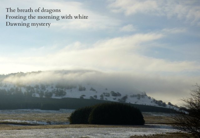 the-breath-of-dragons-frosting-the-morning-with-white-dawning-mystery