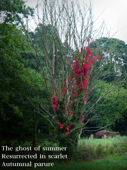 the-ghost-of-summer-resurrected-in-scarlet-autumnal-parure
