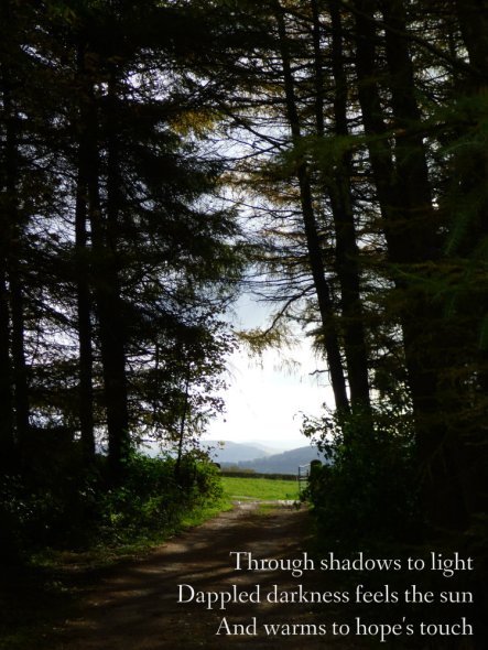 through-shadows-to-light-dappled-darkness-feels-the-sun-and-warms-to-hopes-touch