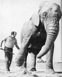 2010-02-03-23-00-00-1