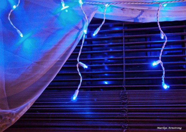 72-blue-lights-13122016_03