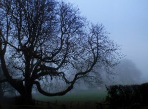 anglesey-bryn-holy-island-wales-001