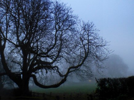 anglesey-bryn-holy-island-wales-001
