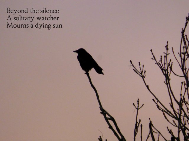 beyond-the-silencea-solitary-watcher-mourns-a-dying-sun