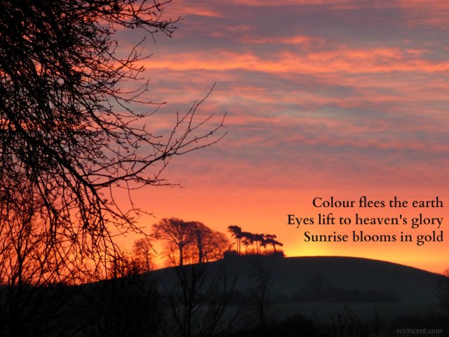 colour-flees-the-earth-eyes-lift-to-heavens-glory-sunrise-blooms-in-gold