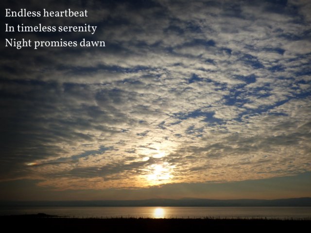 endless-heartbeat-in-timeless-serenity-night-promises-dawn
