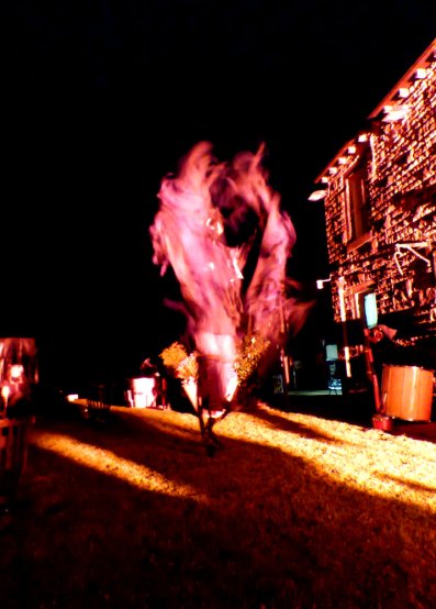 fox-hunters-moon-2016-hordrons-peacock-001-132