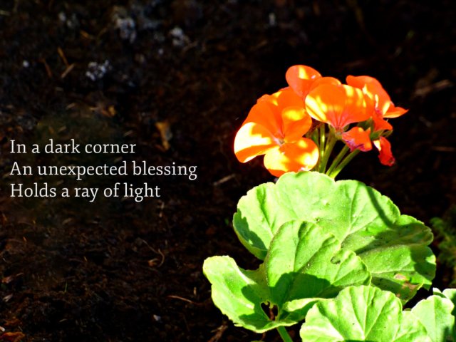 in-a-dark-corner-an-unexpected-blessing-holds-a-ray-of-light