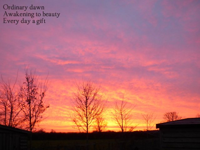 ordinary-dawn-awakening-to-beauty-every-day-a-gift