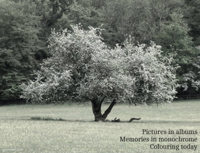 pictures-in-albums-memories-in-monochrome-colouring-today