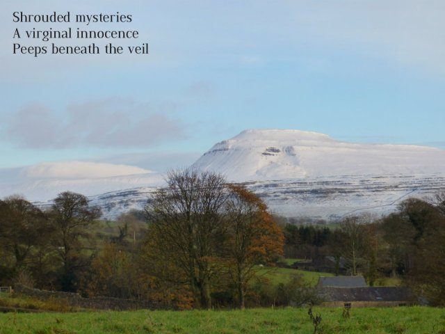 shrouded-mysteries-a-virginal-innocence-peeps-beneath-the-veil