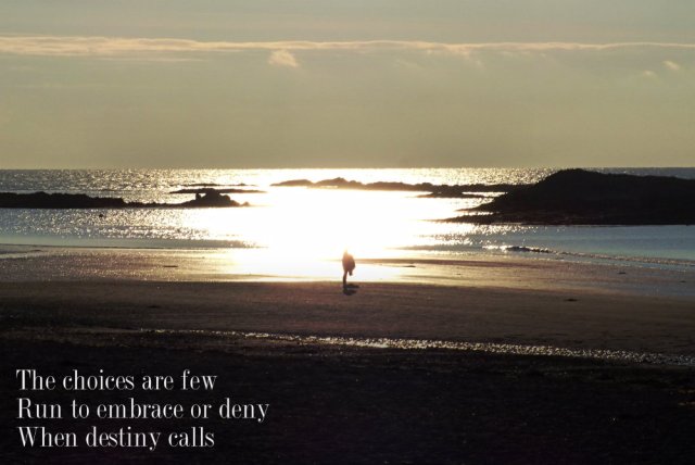 the-choices-are-few-run-to-embrace-or-deny-when-destiny-calls