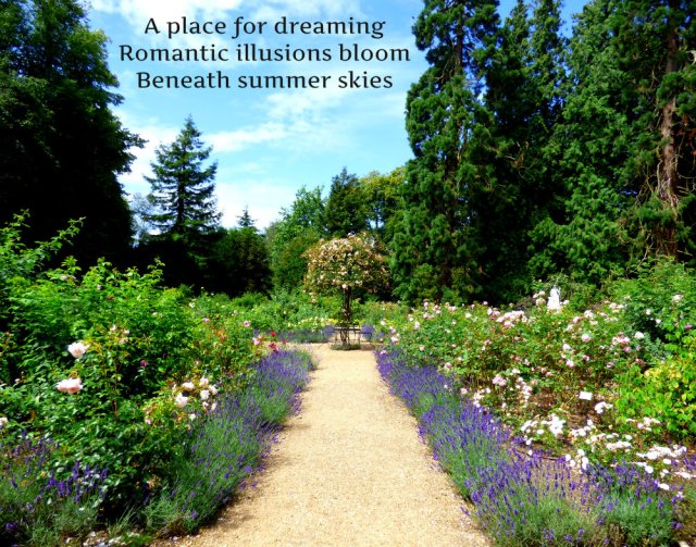 a-place-for-dreaming-romantic-illusions-bloom-beneath-summer-skies