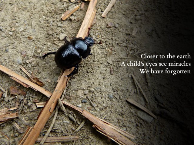 closer-to-the-earth-a-childs-eyes-see-miracles-we-have-forgotten