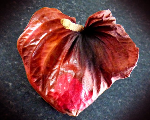 dead-painters-palette