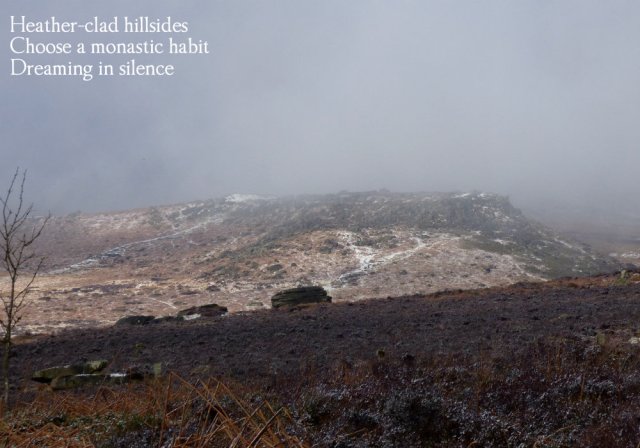 heather-clad-hillsides-choose-a-monastic-habit-dreaming-in-silence