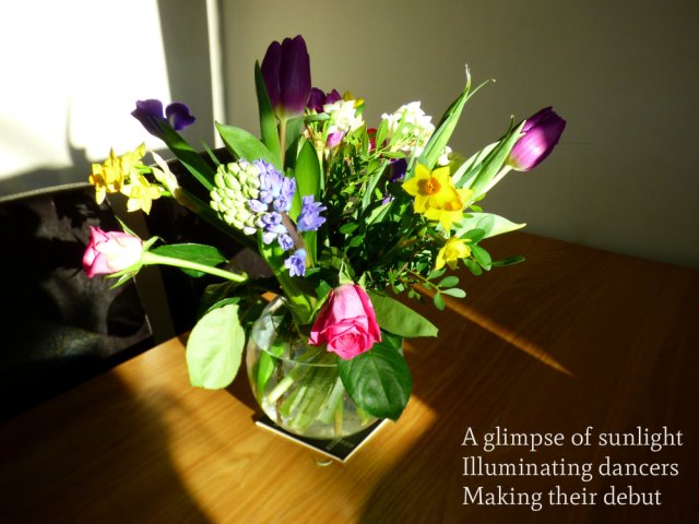 image-of-spring-flowers-a-glimpse-of-sunlight-illuminating-dancers-making-their-debut