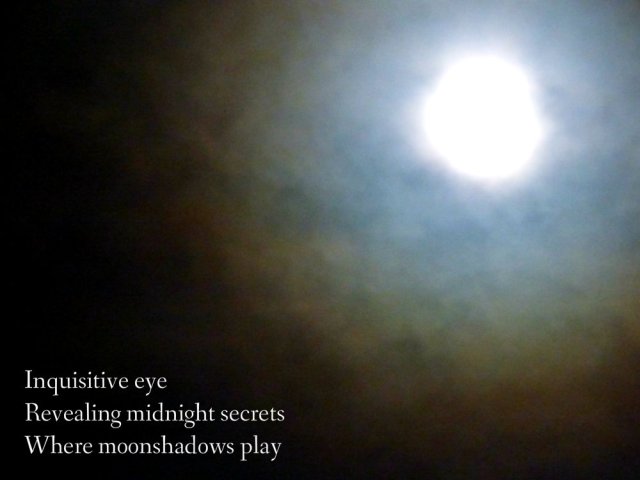 inquisitive-eye-revealing-midnight-secrets-where-moonshadows-play