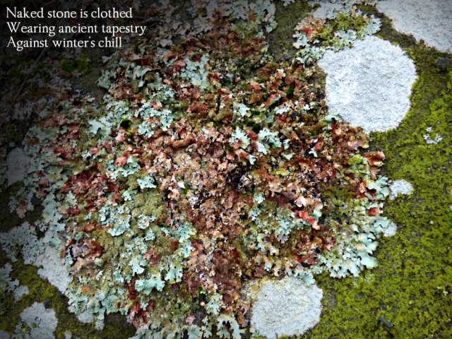 naked-stone-is-clothed-wearing-ancient-tapestry-against-winters-chill