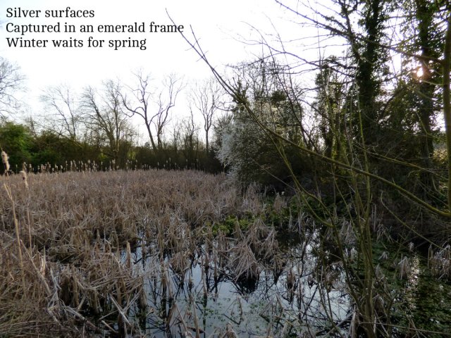 silver-surfaces-captured-in-an-emerald-frame-winter-waits-for-spring
