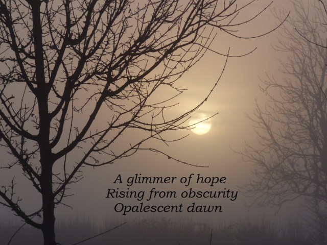 a-glimmer-of-hope-rising-from-obscurity-opalescent-dawn