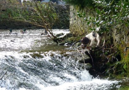 frost-fog-derbyshire-hermits-079