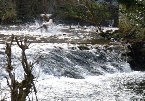 frost-fog-derbyshire-hermits-082