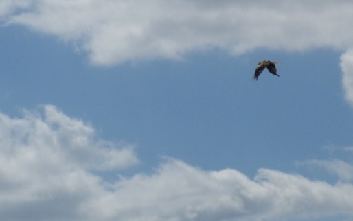 hill-of-vision-ii-124