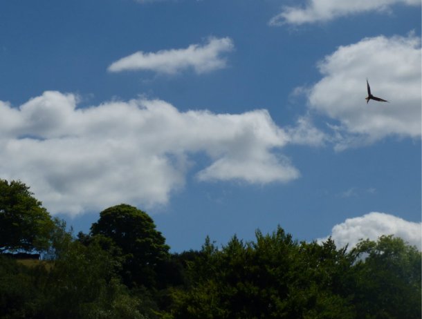 hill-of-vision-ii-126