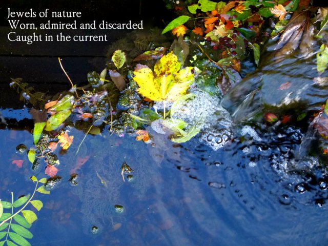image-of-autumn-leaves-in-a-stream-jewels-of-natureworn-admired-and-discardedcaught-in-the-current