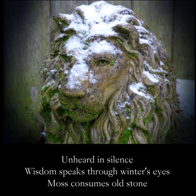 image-statue-of-lioncovered-in-snow-and-moss-unheard-in-silence-wisdom-speaks-through-winters-eyes-moss-consumes-old-stone