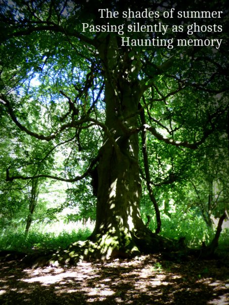 the-shades-of-summer-passing-silently-as-ghosts-haunting-memory