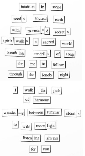 magnetic poem
