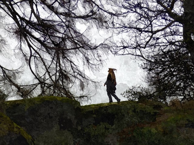 Image: Coyote walking by Sue Vincent