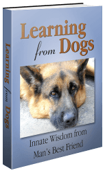 learningfromdogs_3dbook_500x