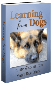 learningfromdogs_3dbook_500x